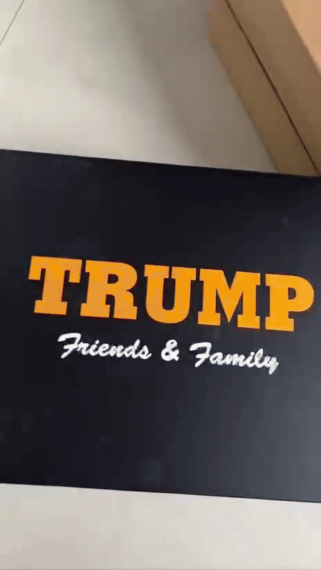 Donald J. Trump Sneakers Never Surrender!